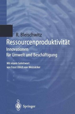 Ressourcenproduktivität - Bleischwitz, Raimund