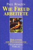 Wie Freud arbeitete