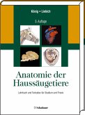 Anatomie der Haussäugetiere