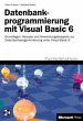Datenbankprogrammierung mit Visual... - Bild 1