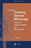 Scanning Electron Microscopy