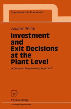 Investment and Exit Decisions at the Plant Level - Winter, Joachim