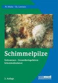 Schimmelpilze Schimmelpilze
