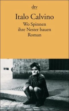 Cover Wo Spinnen ihre Nester bauen