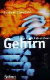 Reiseführer Gehirn Reiseführer Gehirn