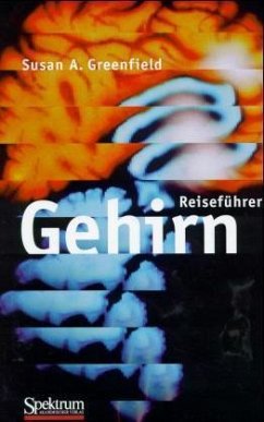 Cover Reiseführer Gehirn