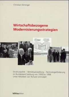 Wirtschaftsbezogene Modernisierungsstrategien - Dirninger, Christian