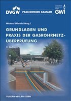 Grundlagen und Praxis der Gasrohrnetzüberprüfung - Etzkorn, H.-W. (Hrsg.)