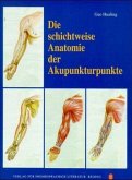 Die schichtweise Anatomie der Akupunkturpunkte