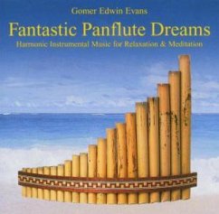 Fantastic Panflute Dreams, 1 CD-Audio - Gomer Edwin Evans