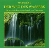Der Weg des Wassers (Harmonische Instrumentalmusik zum Träumen und Entspannen)