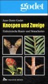 Knospen und Zweige