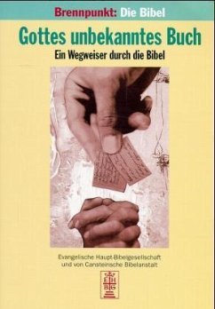 Gottes unbekanntes Buch / Brennpunkt Die Bibel Bd.1 - Birke, P; Hoenen, R; Luttenberger, P