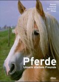 Pferde, Unsere starken Freunde