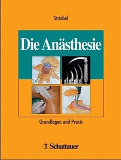 Die Anästhesie - Striebel, Hans Walter