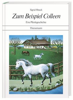 Zum Beispiel Colleen - Heuck, Sigrid