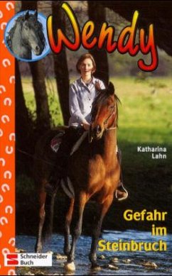 Cover Gefahr im Steinbruch / Wendy Bd.13