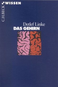 Das Gehirn - Linke, Detlef B.