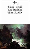 Die Steinflut Die Steinflut