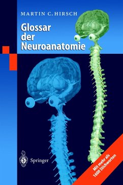 Glossar der Neuroanatomie - Hirsch, Martin C.