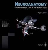 Neuroanatomy, w. CD-ROM