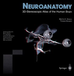 Neuroanatomy, w. CD-ROM - Hirsch, Martin C.;Kramer, Thomas
