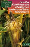 Farbatlas Krankheiten und Schädlinge an landwirtschaftlichen Kulturpflanzen