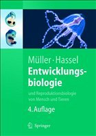 Entwicklungsbiologie - Müller, Werner A. / Hassel, Monika