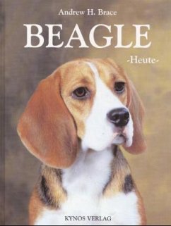 Cover Beagle heute