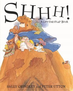 Shhh! Lift-the-Flap Book - Grindley, Sally