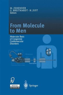 From Molecule to Men - Zehender, M./Breithardt, G./Just, Hansjörg (eds.)