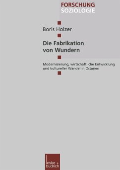 Die Fabrikation von Wundern - Holzer, Boris