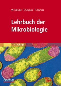 Lehrbuch der Mikrobiologie - Fritsche, Wolfgang;Schauer, Frieder;Borriss, Rainer