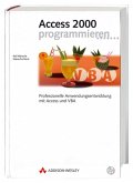 Access 2000 programmieren, m. CD-ROM