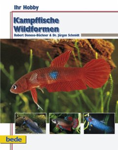 Kampffische - Wildformen - Donoso-Büchner, Robert;Schmidt, Jürgen