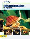 Süßwasserschnecken im Aquarium