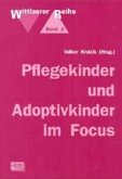 Pflegekinder und Adoptivkinder im Focus