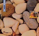 Das kreative Sachbuch "Steine"