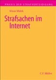 Strafsachen im Internet