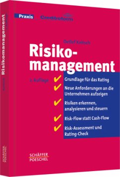 Risikomanagement - Keitsch, Detlef