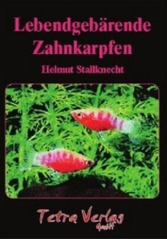 Lebendgebärende Zahnkarpfen - Stallknecht, Helmut