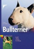 Bullterrier