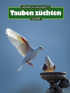 Tauben züchten - Mackrott, Heinrich