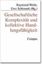 Gesellschaftliche Komplexität und kollektive Handlungsfähigkeit - Werle, Raymund / Schimank, Uwe (Hgg.)