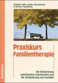 Praxiskurs Familientherapie