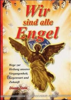 Wir sind alle Engel - Stein, Diane