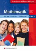 Mathematik für die Berufliche Oberschule, Klasse 11, Nichttechnische Fachrichtungen