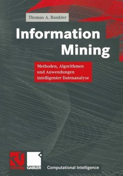 Information Mining - Runkler, Thomas A.