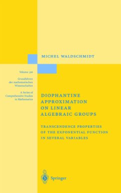 Diophantine Approximation on Linear Algebraic Groups - Waldschmidt, Michel