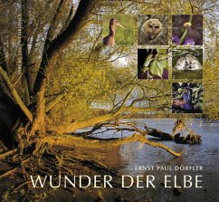 Wunder der Elbe - Dörfler, Ernst P.